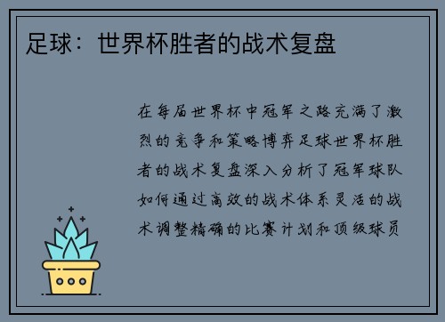 足球：世界杯胜者的战术复盘
