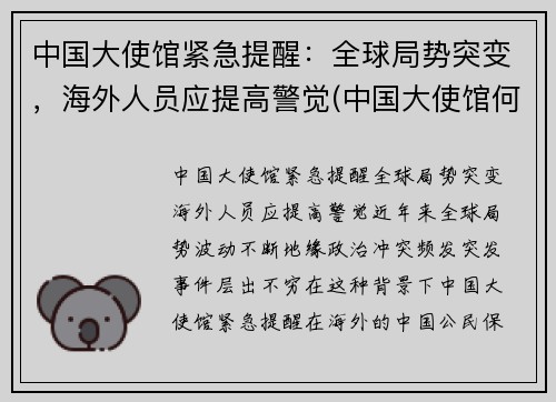 中国大使馆紧急提醒：全球局势突变，海外人员应提高警觉(中国大使馆何时恢复)