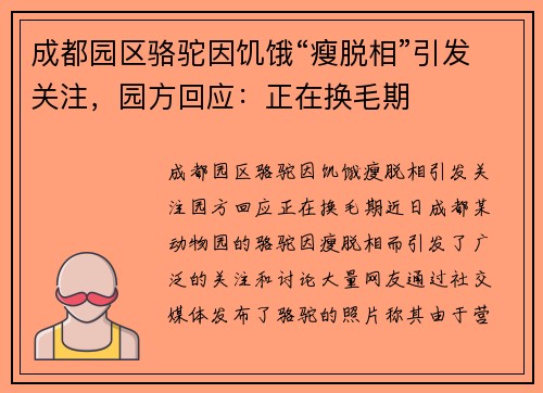 成都园区骆驼因饥饿“瘦脱相”引发关注，园方回应：正在换毛期